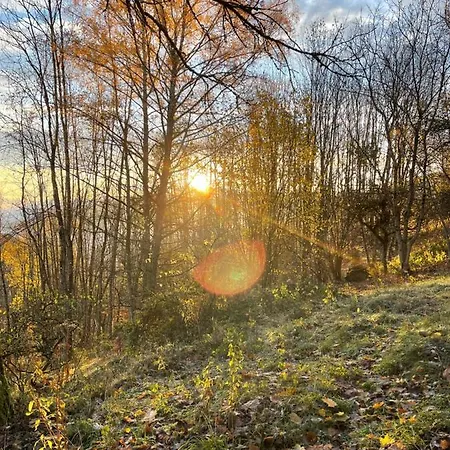 La Maison Des Douceurs *