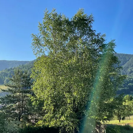 La Maison Des Douceurs Feriehus Bussang