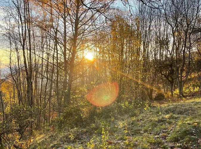 La Maison Des Douceurs *